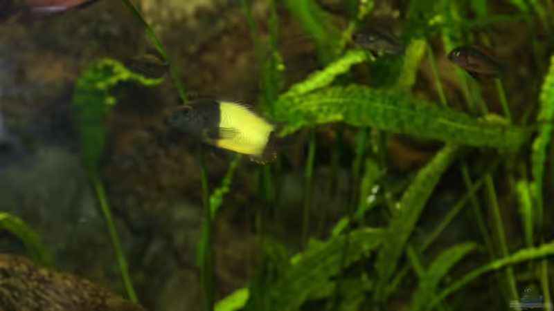 Crypto von Katrin Rätz (8)