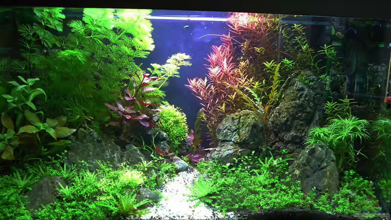 Crystal Rock von mike1963 (1)