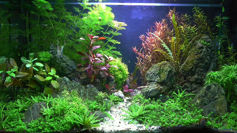 CrystalRock Update 1 von mike1963 (2)