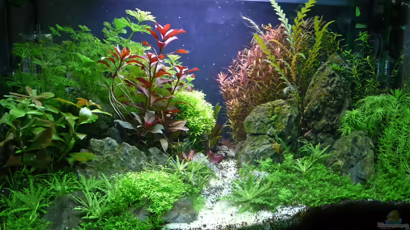 CrystalRock Update 11 von mike1963 (12)