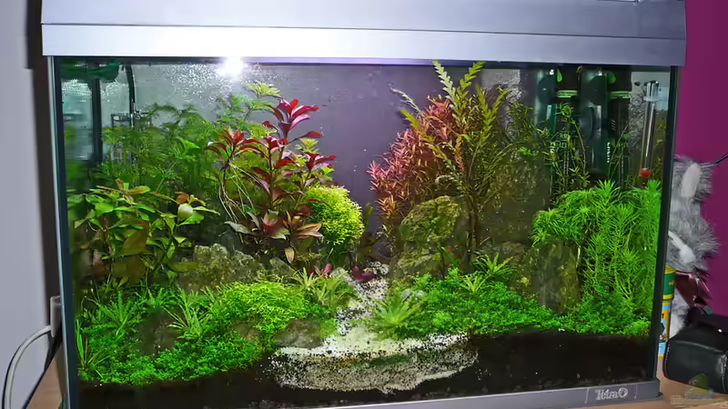 CrystalRock Update 12 von mike1963 (13)