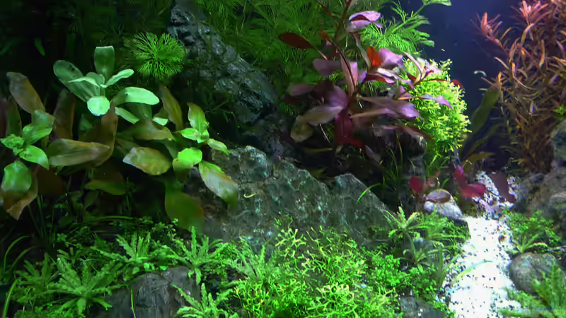 CrystalRock Update 3 von mike1963 (4)