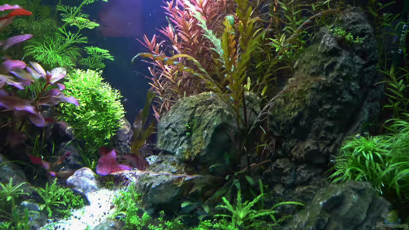 CrystalRock Update 4 von mike1963 (5)