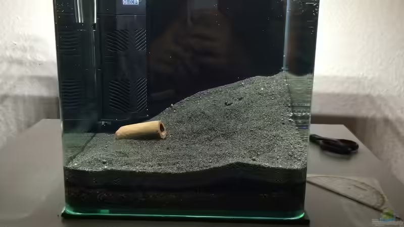 Cube vor den Pflanzen von Lennart (2)