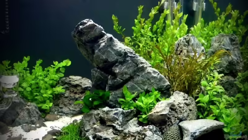 Cubus LX von Aquamaniac (1)