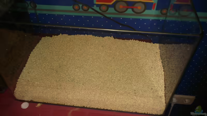 Curat del substracte, en un altre tanc von lomarraco (60)