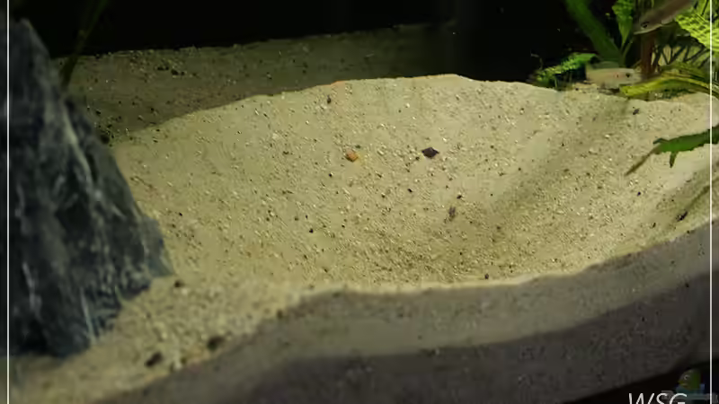 Cyato Krater von wolf87 (15)