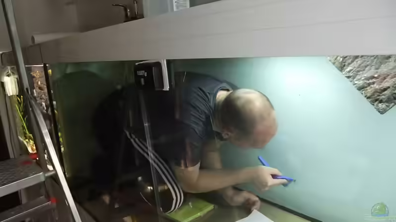 Da das Becken war vorher ein Malawi-Sandcichliden Tank und musste nun akribisch geputzt von DaKo77 (24)