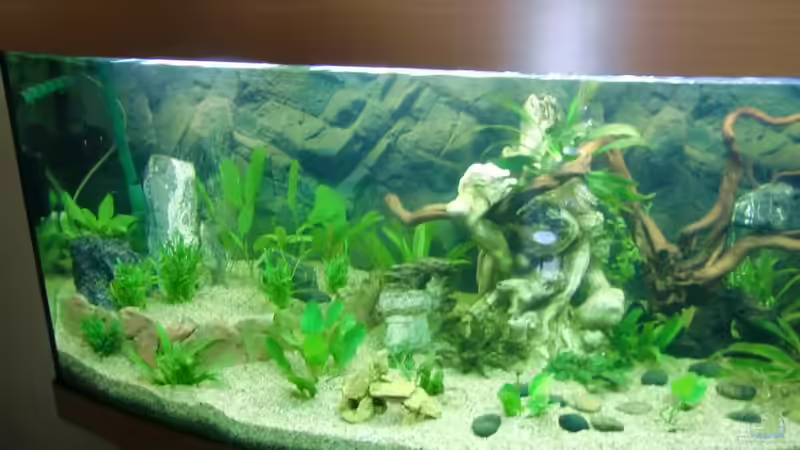 da fehlen links paar steine.... von EcoSyS (5)