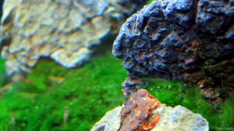 Da gehts abwärts  von Supernova (11)