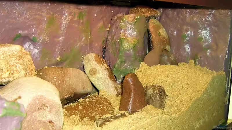 Da habe ich die Steine rein gelegt /Ohne Wasser noch von Dennis Klusmann (3)