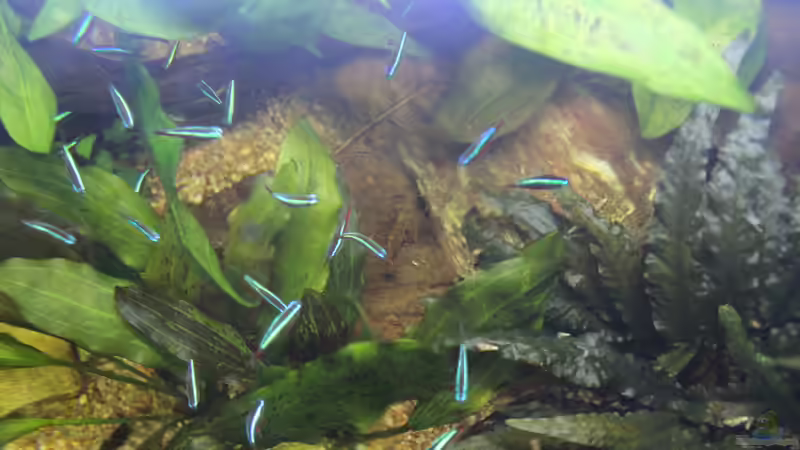 Da habe ich es mal von oben versucht von Ottche (23)