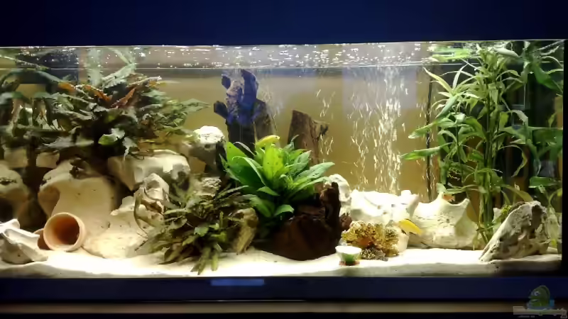 Da is es, nach Infos und hunderten Seiten blättern bei Einrichtungsbeispiele, hoffentlich von bennymotte (1)