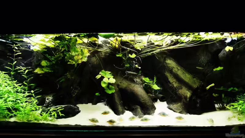 da is es  von JoSchi (1)