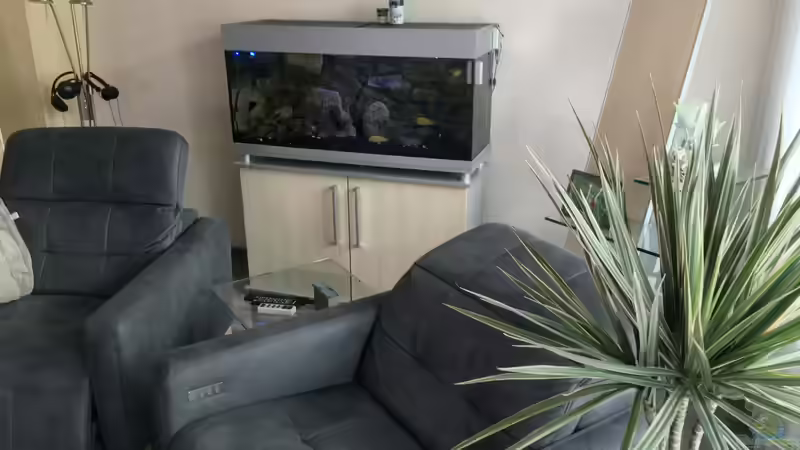 Da ist Platz für ein größeres Becken!!! von Daniel H. (3)