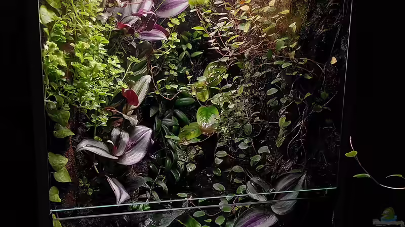 Da muss bald mal wieder gegärtnert werden... von Stephi (2)