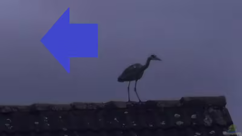 Da sind die Fische auch nicht fern!!!!! von PH Neutral (24)