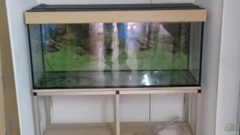 Da soll das Becken mal stehen von Beulenkopftyp (3)