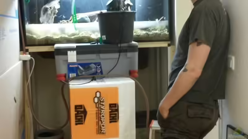 Da steh ich nun und erfreue mich an dem Bild das entsteht. Bevor der HMF angeschmissen von Beulenkopftyp (29)