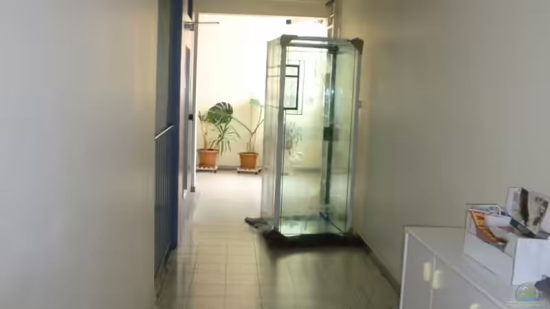 Da steht das Ding..... von Truthahnmann (5)