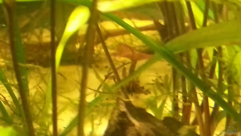 Da wächst doch was ^^ von Zohan (10)