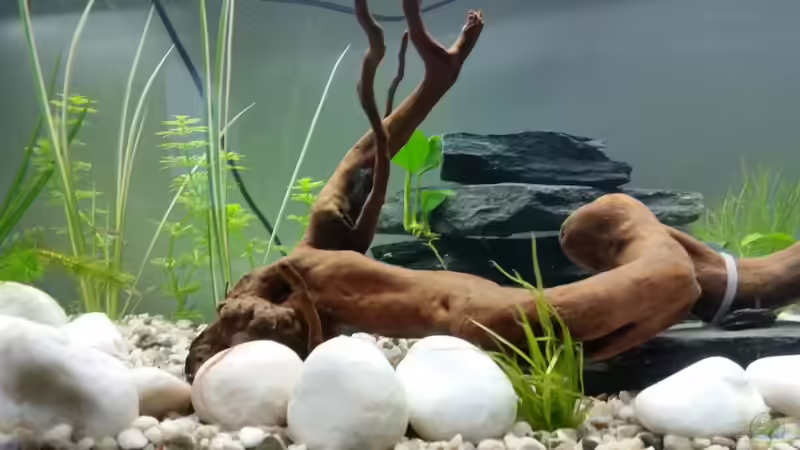 Da war alles noch neu :-) von SvenDerGroße (4)