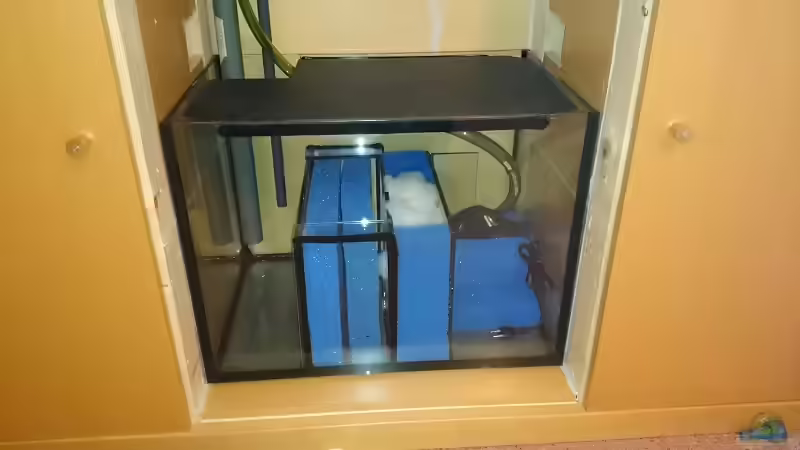 Da war der Biofilter noch neu von Der Küstenjunge (8)