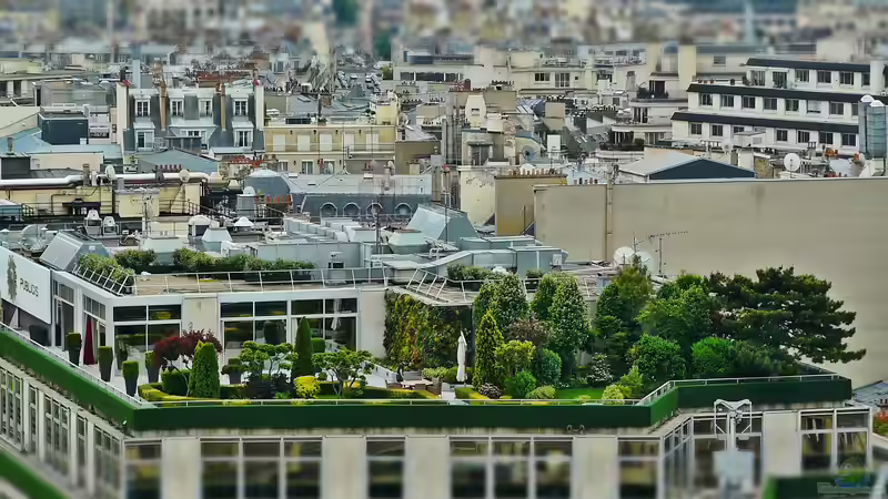 Dachbegrünung - umfassender Leitfaden für nachhaltige, langlebige und funktionale Gründächer