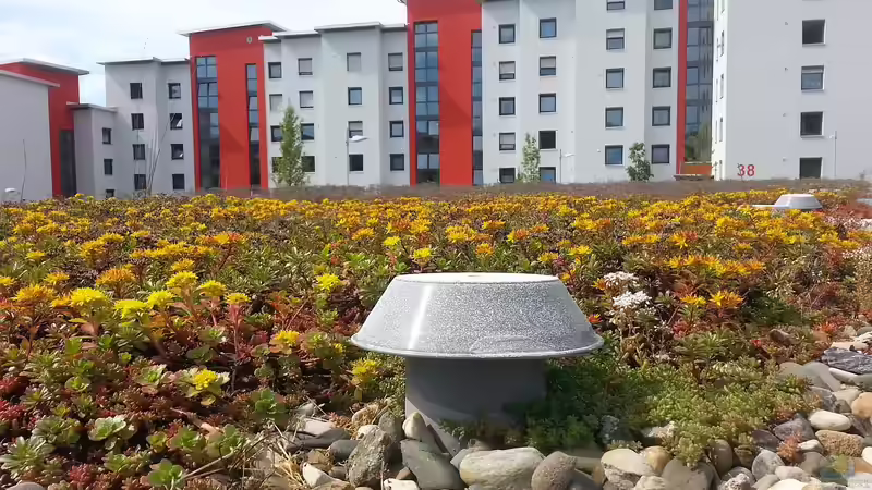 Dachbegrünung - umfassender Leitfaden für nachhaltige, langlebige und funktionale Gründächer