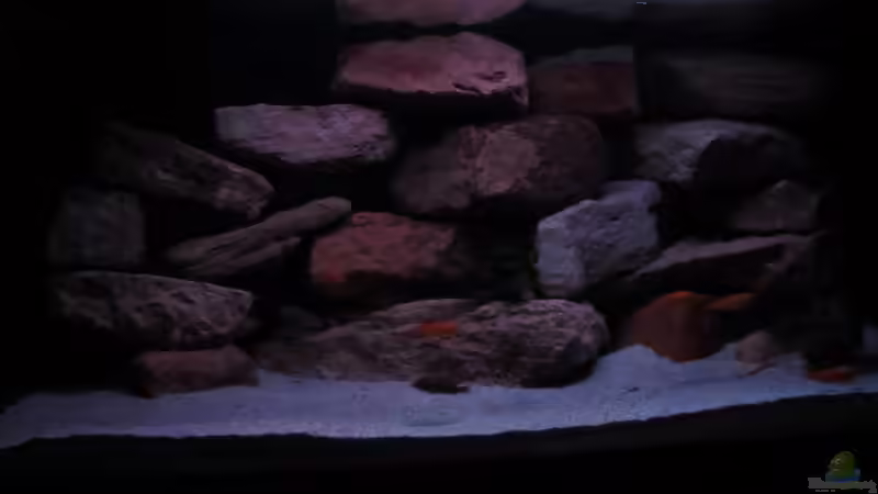 Dämmerung - 16.01.13 von aquamika (18)