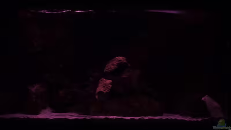 Dämmerung 03.01.2014 von DER YBBSTALER (11)