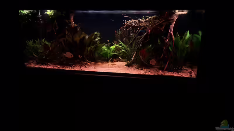 Dämmerung 21 Uhr von Gernhart (2)