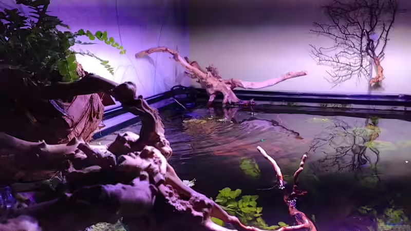 Dämmerung 31.12.112 von Michel (8)