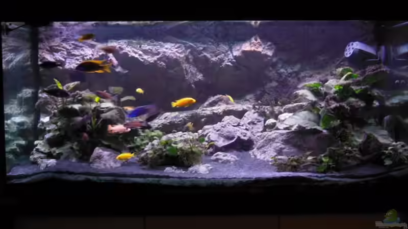 Dämmerung abends von tomwu (27)