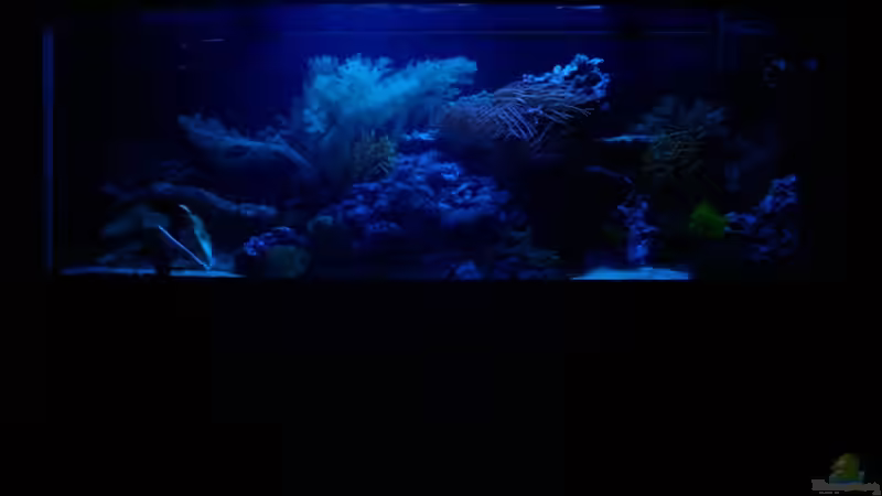 Dämmerung/Mondlicht von .uschi (5)