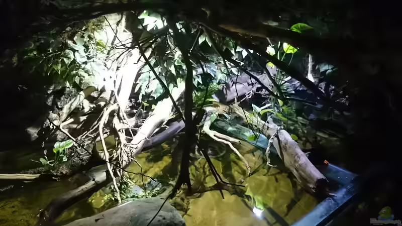 Dämmerung von Christoph Ottacher (3)