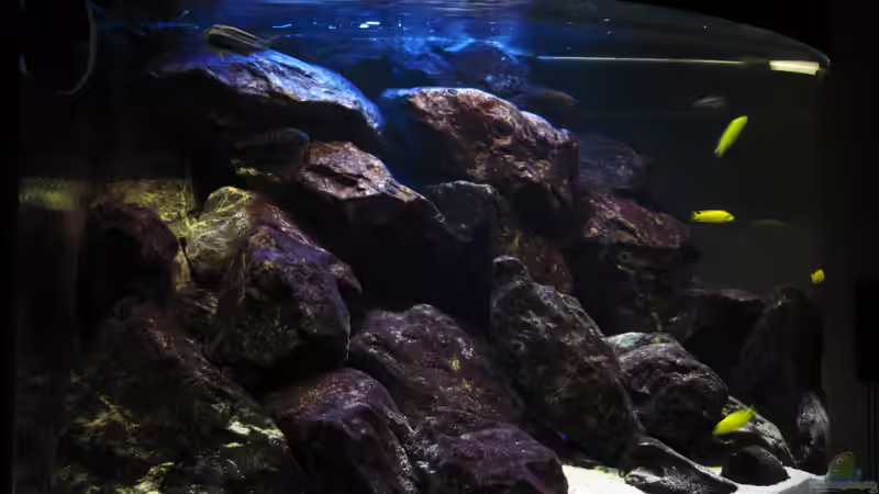 Dämmerung von links 21.01.2010 von THORS10 (2)