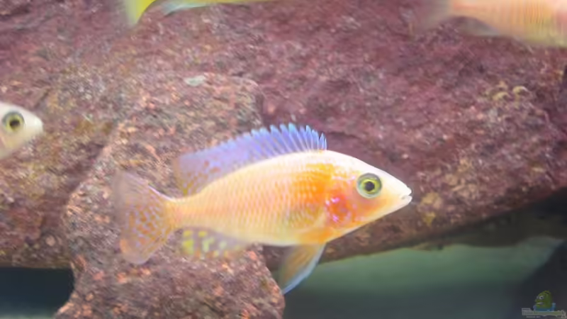 damals in klein von Michael Fischer (7)