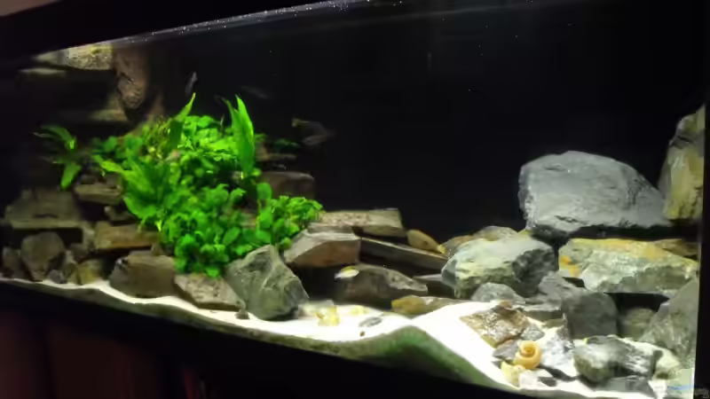 Danach... von -serok- (3)