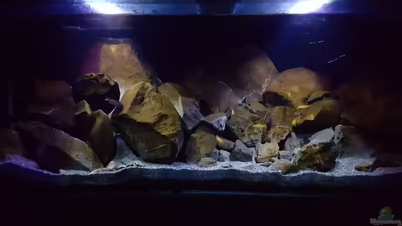 Dank Patina sieht es noch natürlicher aus von Thomas0902 (2)