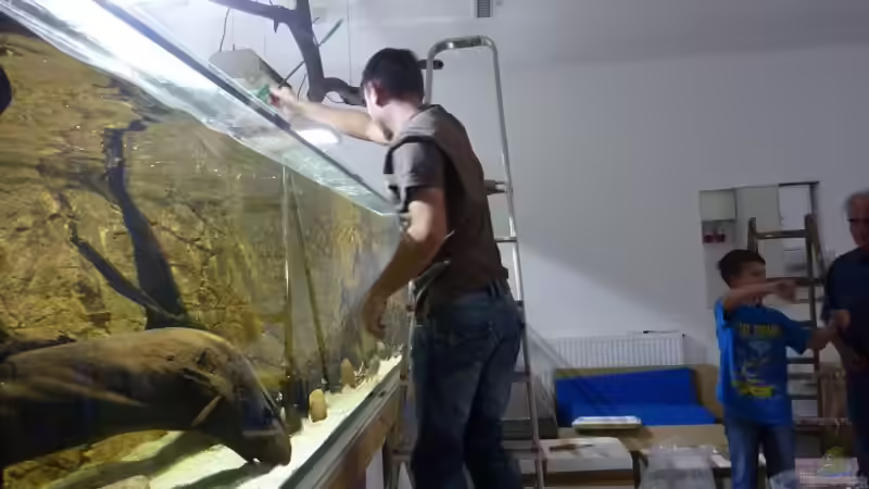 Dann können auch schon die ersten Fische einziehen... von aquazonica (10)