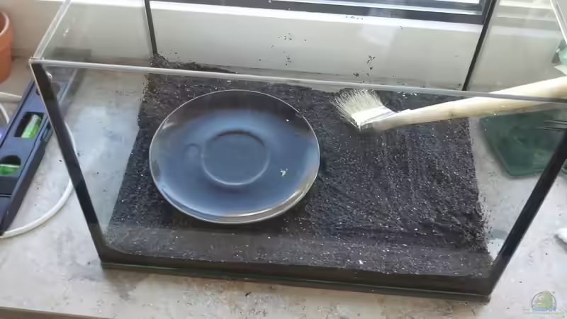 Dannach mit dem Pinsel schön den Kies verteilt. von Blubberblubs (4)