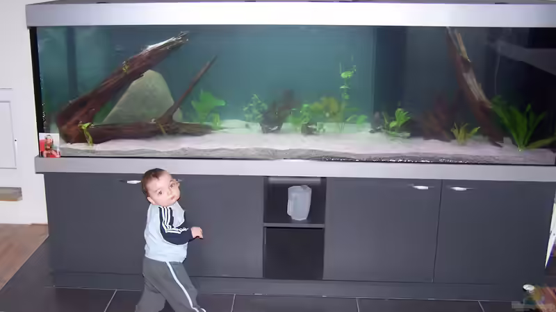 Darf ich da mal rein? von Stefan Arenth (4)