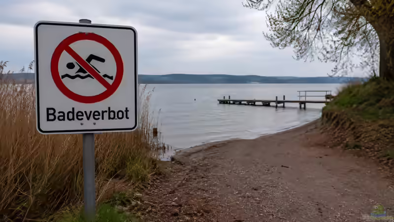 Darf man in jedem See, Bach oder Teich baden? Was an Naturgewässern erlaubt ist