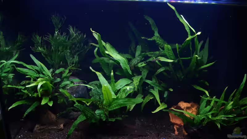 DarioDarioW_20211021 von Mich (8)