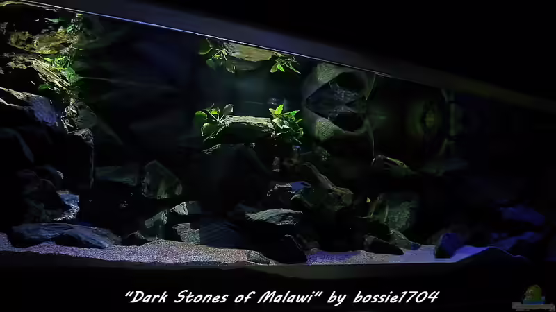 Dark Stones am Nachmittag 22.12.12 von bossie1704 (7)