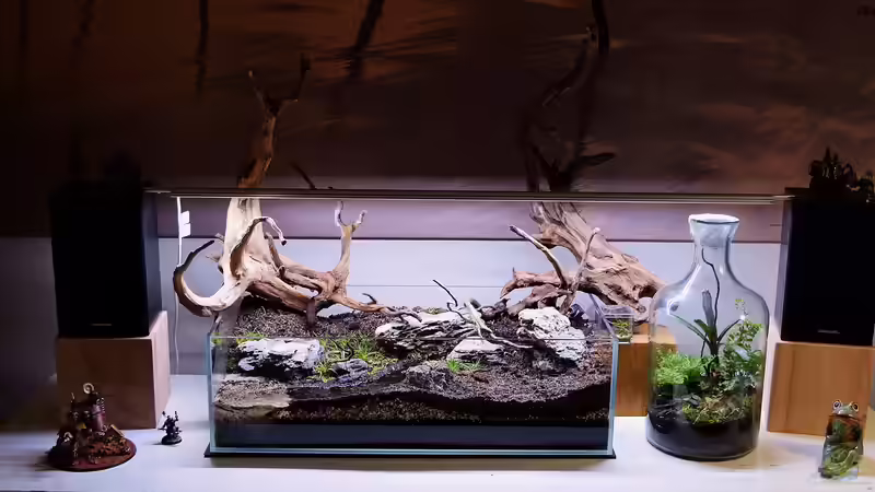 Dartmoor von Junglist (4)