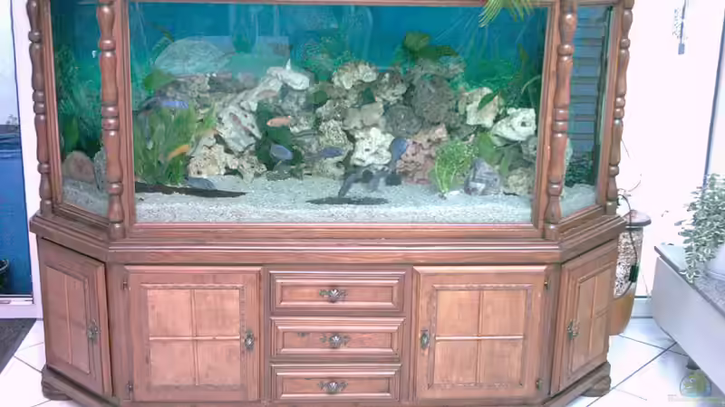 Das 750 ltr. Becken nebendran. Bild ist vor 9 Jahren mit alter Einrichtung von Patrick Gutmann (5)