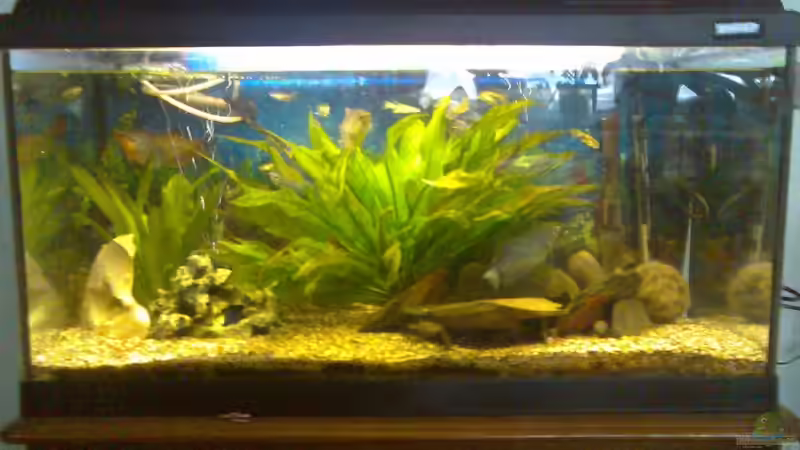 Das 80er Becken Komplett von Thomas Müller (2)