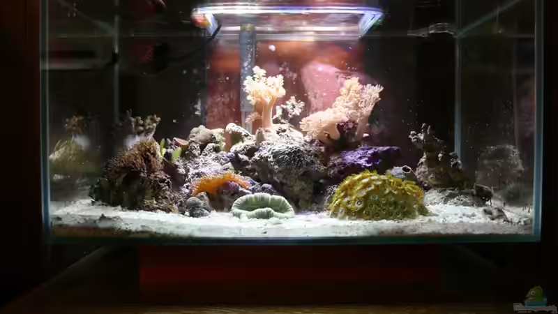 Das aktuelleste ohne die neue SPS und LPS